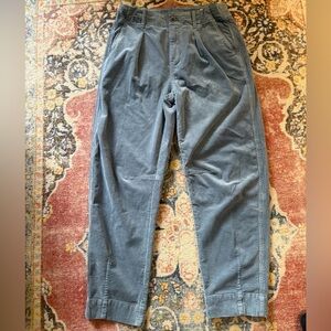 NWOT AYR The Bam Women's Blue Corduroy Pants